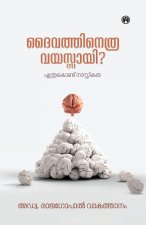 Daivathinethra Vayasayi