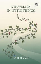 A Traveller In Little Things