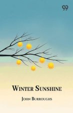 Winter Sunshine
