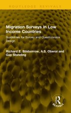 Migration Surveys in Low Income Countries