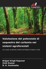Valutazione del potenziale di sequestro del carbonio nei sistemi agroforestali