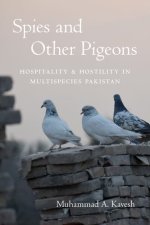 Spies and Other Pigeons – Hospitality and Hostility in Multispecies Pakistan