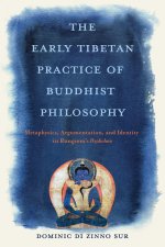 The Early Tibetan Practice of Buddhist Philosoph – Metaphysics, Argumentation, and Identity in Rongzom`s Dzokchen