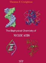 BIOPHYSICAL CHEMISTRY OF NUCLEIC ACIDS