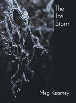 ICE STORM