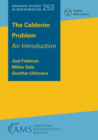 The Calderon Problem – An Introduction