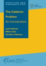 The Calderon Problem – An Introduction