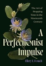 A Perfectionist Impulse – The Art of Stopping Time in the Nineteenth Century