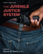 The Juvenile Justice System