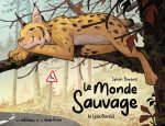 Le Monde sauvage - Le Lynx Boréal