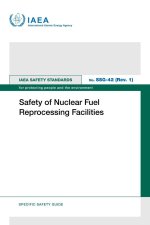 Safety of Nuclear Fuel Reprocessing Facilities