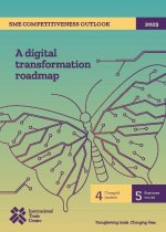 SME Competitiveness Outlook 2025 – A Digital Transformation Roadmap