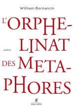 L'orphelinat des métaphores
