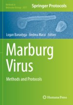 Marburg Virus