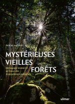 Mystérieuses vieilles forêts - Un voyage immersif au coeur des écosystèmes préservés