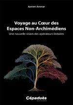 Voyage au Cœur des Espaces Non-Archimédiens
