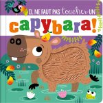 Il ne faut pas toucher un capybara !