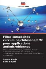 Films composites curcumine/chitosane/CMC pour applications antimicrobiennes