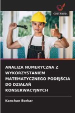 ANALIZA NUMERYCZNA Z WYKORZYSTANIEM MATEMATYCZNEGO PODEJSCIA DO DZIALAN KONSERWACYJNYCH