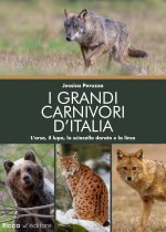 grandi carnivori d'Italia. L’orso, il lupo, lo sciacallo dorato e la lince