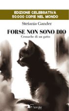 Forse non sono Dio. Cronache di un gatto