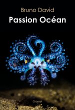 Passion océan