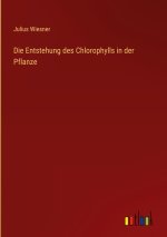 Die Entstehung des Chlorophylls in der Pflanze