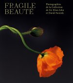 FRAGILE BEAUTÉ