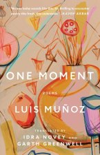 ONE MOMENT POEMS