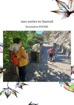 mes sorties en fauteuil