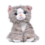 Laber Katze