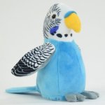 Laber Wellensittich, blau