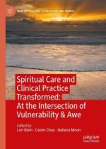 Spiritual Care and Clinical Practice Transformed: At the Intersection of Vulnerability & Awe