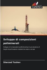 Sviluppo di composizioni poliminerali