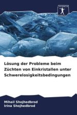 Lösung der Probleme beim Züchten von Einkristallen unter Schwerelosigkeitsbedingungen