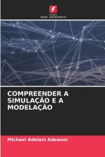 COMPREENDER A SIMULAÇÃO E A MODELAÇÃO
