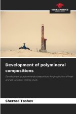 Development of polymineral compositions