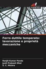 Ferro duttile temperato: lavorazione e proprietà meccaniche