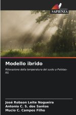 Modello ibrido