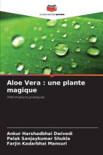 Aloe Vera : une plante magique