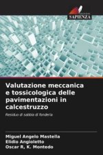 Valutazione meccanica e tossicologica delle pavimentazioni in calcestruzzo