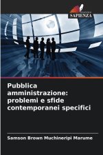 Pubblica amministrazione: problemi e sfide contemporanei specifici