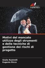 Motivi del mancato utilizzo degli strumenti e delle tecniche di gestione dei rischi di progetto