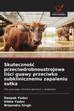 Skutecznosc przeciwdrobnoustrojowa lisci guawy przeciwko subklinicznemu zapaleniu sutka