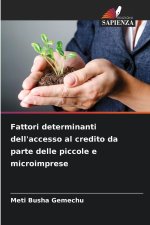 Fattori determinanti dell'accesso al credito da parte delle piccole e microimprese