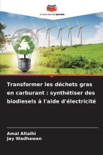 Transformer les déchets gras en carburant : synthétiser des biodiesels à l'aide d'électricité