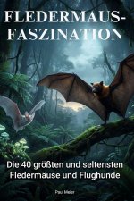 Fledermaus-Faszinaton