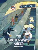 Motorway Sheep