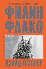Филин Флако: История самой знаменитой птицы в мире