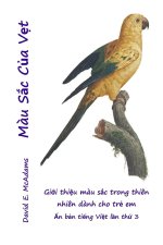 Màu Sắc Của Vẹt